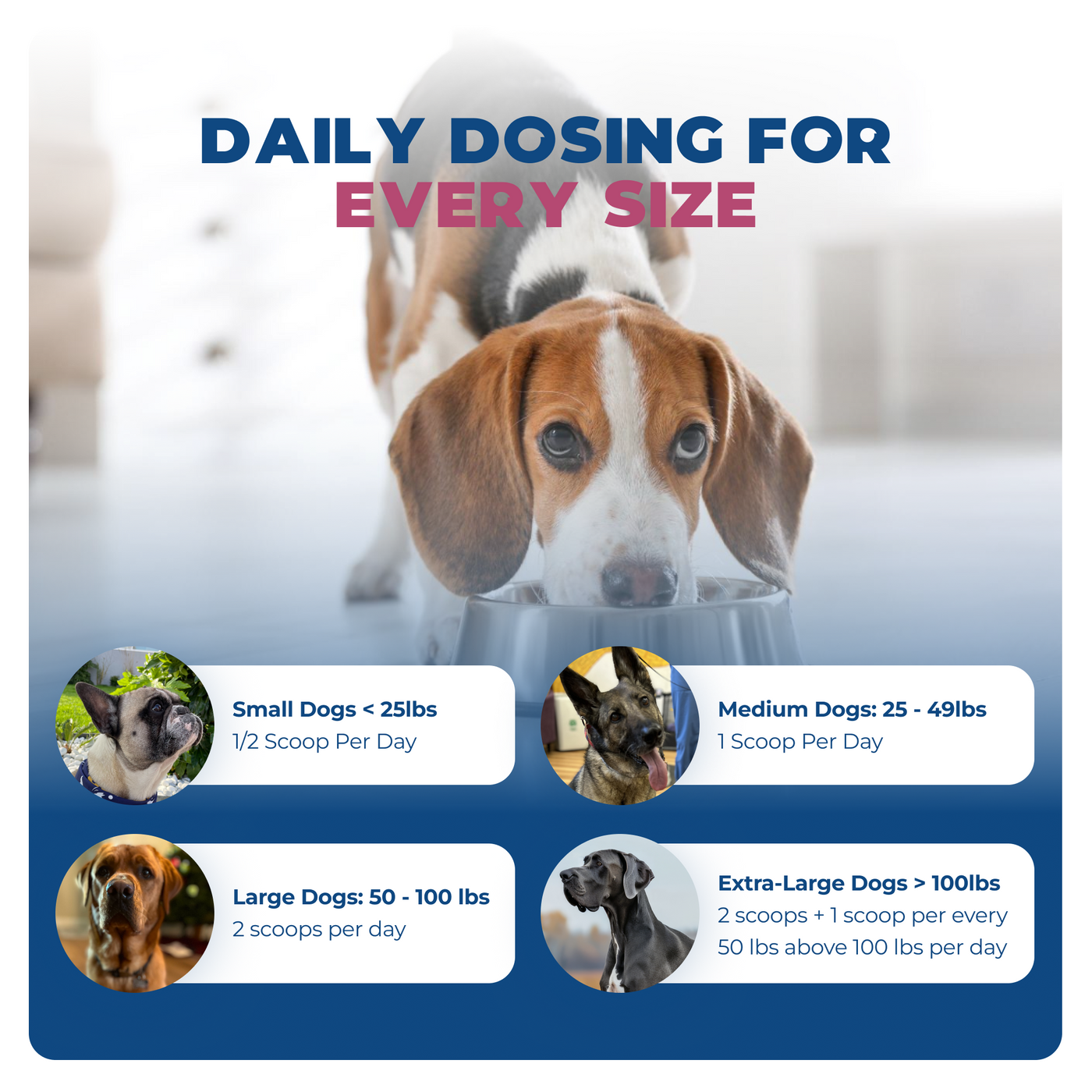 WS-01® - Weight Support Supplement