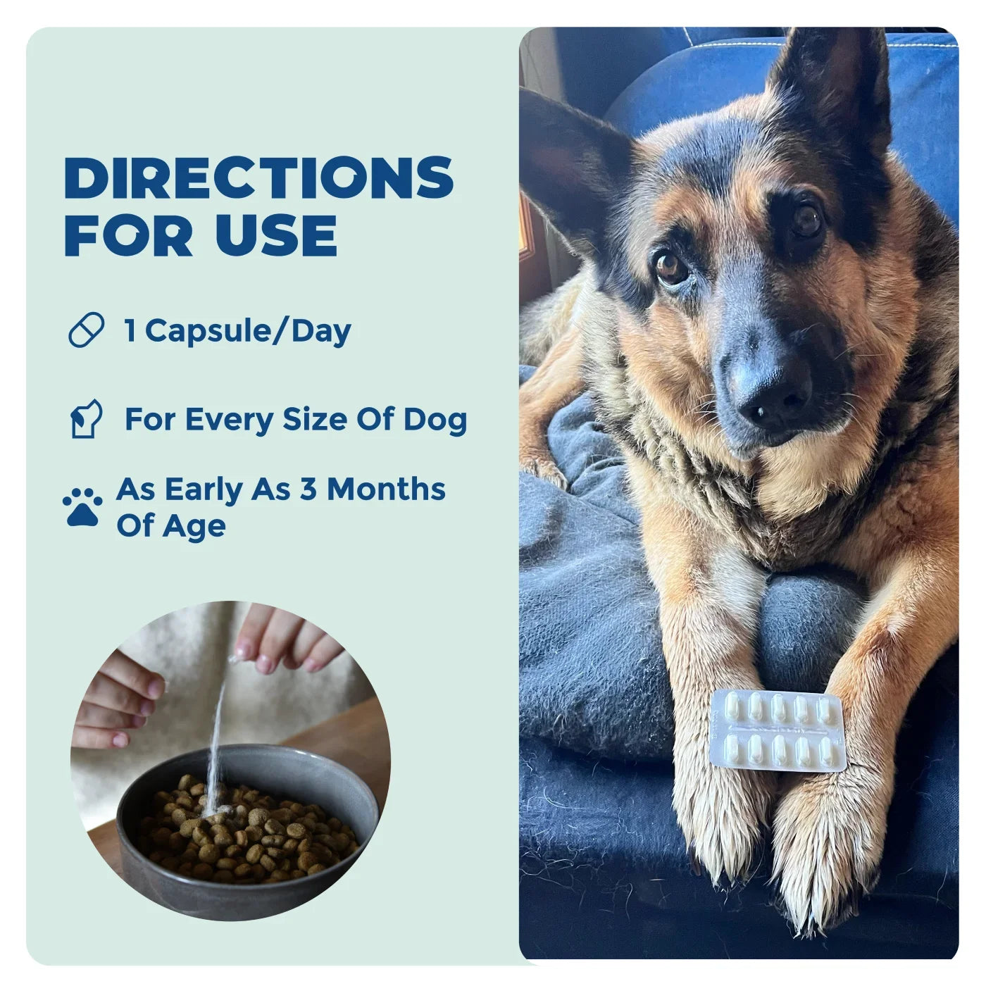 Synbiotic GB-01 - Gut Balance - 30 count - Probiotic for dogs and cats