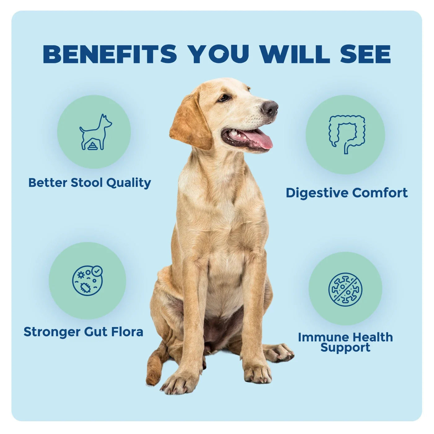 Synbiotic GB-01 - Gut Balance - 30 count - Probiotic for dogs and cats