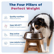 WS-01® - Weight Support Supplement