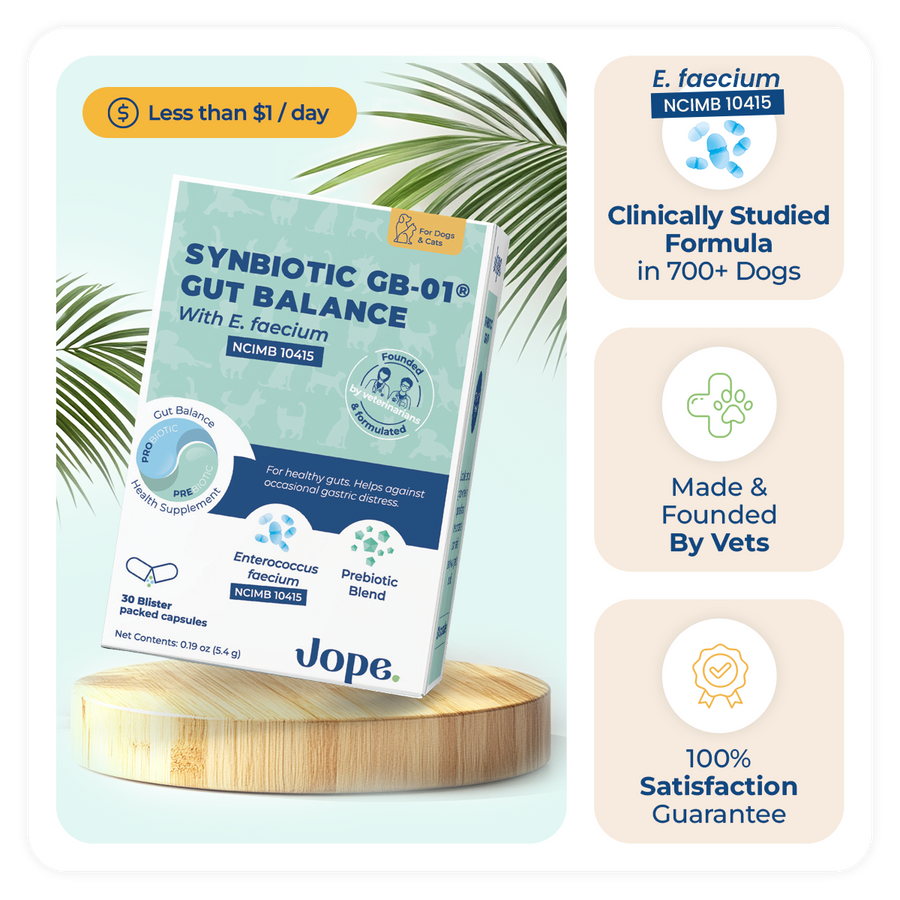 Synbiotic GB-01 - Gut Balance - 30 count - Probiotic for dogs and cats